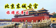 骚妇骚女露av中国北京-东城古宫旅游风景区